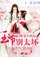 爆宠小萌妃:王爷,别太坏