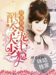 丑妻替嫁:酷冷大少宠上瘾