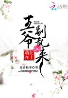 萌妃在上:王爷,别乱来