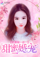 甜蜜婚宠:娇妻嫁一送一