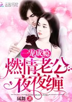 一宠成瘾:燃情老公夜夜缠