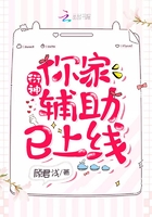 衍神,你家辅助已上线!